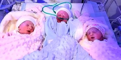 چطور ظرف ۲۰ روز گواهی انحصار وراثت بگیریم؟! 