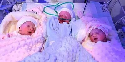 ثبت ۳۸ هزار واقعه ولادت چند قلوزایی در سال ۱۴۰۳

