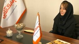افزایش تنوع سرمایه‌گذاری با بیمه یونیت لینک سامان