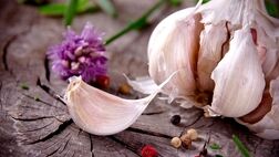 این گیاه بدبو کلسترول را کاهش می دهد
