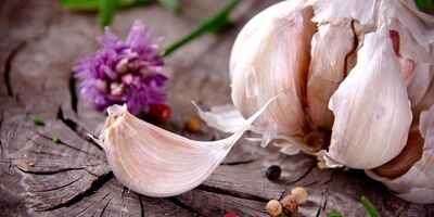 فشار خون بالا را با آبغوره مهار کنید / آبغوره کلید سلامت قلب و عروق