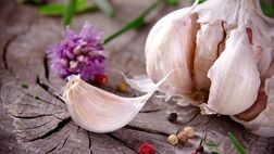 این گیاه بدبو کلسترول را کاهش می دهد

