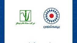 بیمه تعاون برنده مناقصه هلدینگ نیشکر شد
