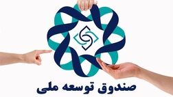 پای صندوق توسعه ملی به خرید کشتی و نفتکش باز شد