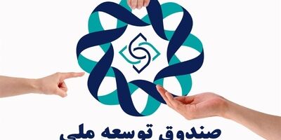 پای صندوق توسعه ملی به خرید کشتی و نفتکش باز شد