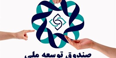 پای صندوق توسعه ملی به خرید کشتی و نفتکش باز شد