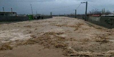بیمه‌ها سالانه ۵۰۰ میلیارد تومان خسارت در مازندران پرداخت می‌کنند/ ۷۵ درصد واحدهای مسکونی مازندران فاقد بیمه‌ هستند