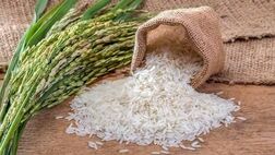 آخرین قیمت برنج ایرانی در بازار (عنبربو، هاشمی، طارم و...)