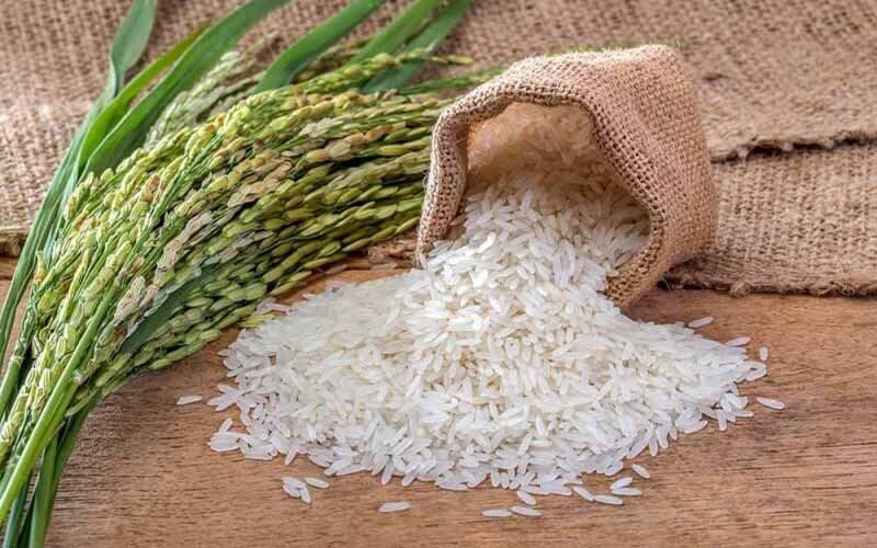 قیمت جدید انواع برنج ایرانی (صدری، طارم، هاشمی و...)