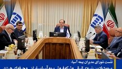  نیروی انسانی وشبکه فروش بیمه آسیا بسیار غنی و حرفه ای هستند
