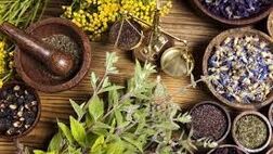 برداشت کنندگان غیر قانونی گونه های دارویی مورد پیگرد قانون مبارزه با قاچاق کالا قرار می گیرند