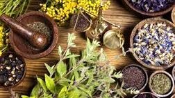 تخصیص ۶۰ هزارهکتار از دیمزار‌ها به کشت گیاهان دارویی