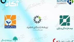 رقابت نفس گیر در میان این ۵ شرکت بیمه عمر و زندگی به سود کدامیک  تمام شد؟ + جدول
