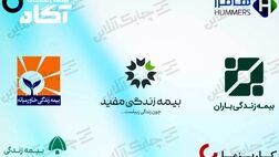 رقابت نفس گیر در میان این ۵ شرکت بیمه عمر و زندگی به سود کدامیک  تمام شد؟ + جدول