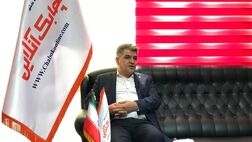 برخی از شرکت‌ها با  یک سایت خود را استارت آپ معرفی کردند