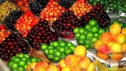 کاهش قیمت میوه در راه است