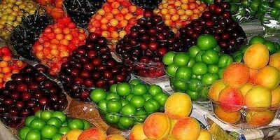 کاهش قیمت میوه در راه است