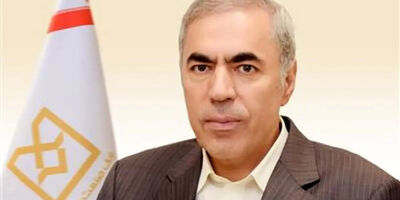 سرپرست بیمه اتکایی رایا معرفی شد
