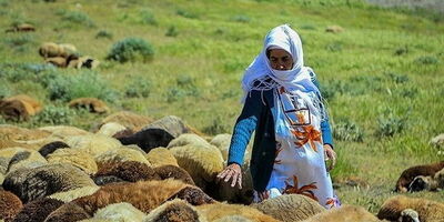 شهرستان بانه ۶ هزار  سرپرست خانوار فاقد بیمه دارد