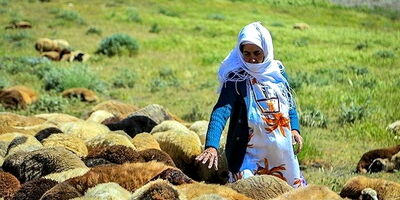 شهرستان بانه ۶ هزار  سرپرست خانوار فاقد بیمه دارد