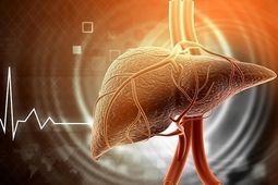 علائم اولیه کبد چرب چیست؟ 