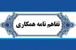 بنیاد برکت مشتری «پلتفرم پالیز» شد/ گام جدید بانک کشاورزی برای تأمین مالی زنجیره تولید
