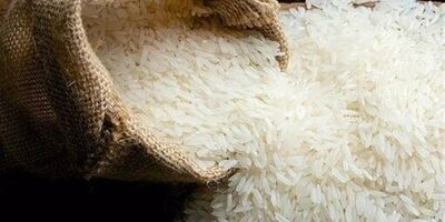 آغاز واردات برنج از هفته آینده