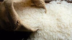 امسال ۲ میلیون و ۷۰۰ هزارتن برنج تولید شد