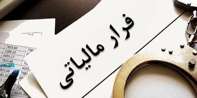 شناسایی ۶۶۴ مورد فرار مالیاتی با گزارش مردمی
