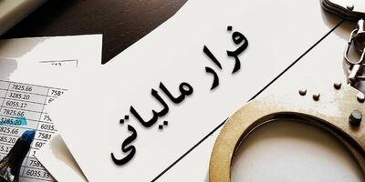 شناسایی ۱۰۰۰ فراری مالیاتی با گزارش مردم