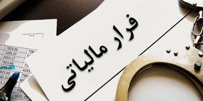 شناسایی ۶۶۴ مورد فرار مالیاتی با گزارش مردمی