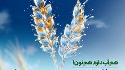 حمایت ۹۶ هزار میلیارد ریالی بانک کشاورزی از مدیریت بحران آب با بذرهای گواهی شده