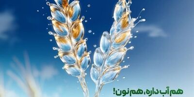 حمایت ۹۶ هزار میلیارد ریالی بانک کشاورزی از مدیریت بحران آب با بذرهای گواهی شده