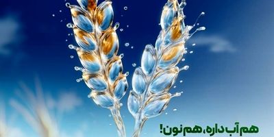 حمایت ۱۹ هزار میلیارد ریالی بانک کشاورزی از مدیریت بحران آب با اجرای روش های نوین آبیاری
