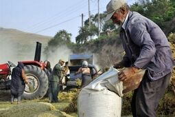 برنامه‌ریزی صندوق بیمه روستاییان برای جذب بیش از ۲۰۰ هزار نفر در ۱۴۰۵
