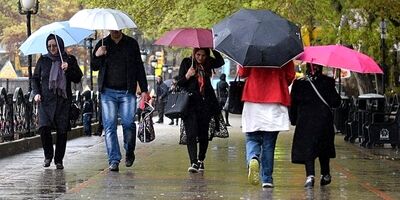 هشدار وزش باد به گلخانه داران و باغداران
