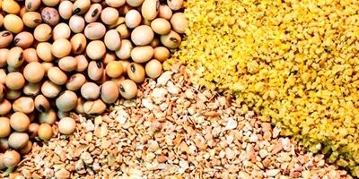 8 میلیون تن کالا در بنادر وجود دارد 