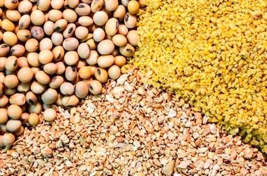 نابسامانی در بازار نهاده‌های دامی کماکان ادامه دارد؟
