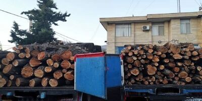 کشف ۲۰۰ تن چوب قاچاق در جازموریان
