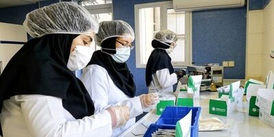 فعالیت ۲۰۰ شرکت دانش بنیان فناور و هسته ای در بخش بیوتکنولوژی کشاورزی
