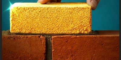 دوره های آموزشی فروش بیمه های زندگی دی در دستور کار قرار گرفت
