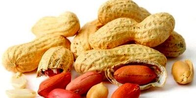 بادام زمینی تأثیر مثبتی بر میکروبیوم های روده دارد