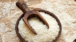 واردات ۵۰۰ هزار تن برنج از ابتدای سال