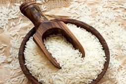 کشت برنج فقط در ۲ استان گیلان و مازندران مجاز است