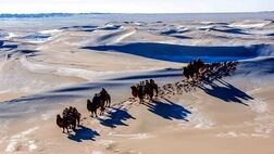 کویرهای ایران هم یخ زدند