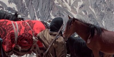 «چامون» به نمایش درمی‌آید