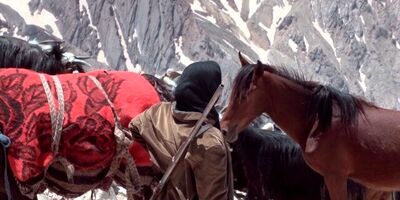 «چامون» به نمایش درمی‌آید