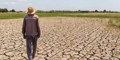 بیش از نیمی از زمین‌های عراق در معرض تبدیل شدن به بیابان