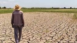 بیش از نیمی از زمین‌های عراق در معرض تبدیل شدن به بیابان