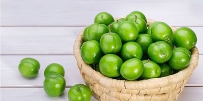 گوجه سبز نوبرانه کیلویی ۲ میلیون تومان